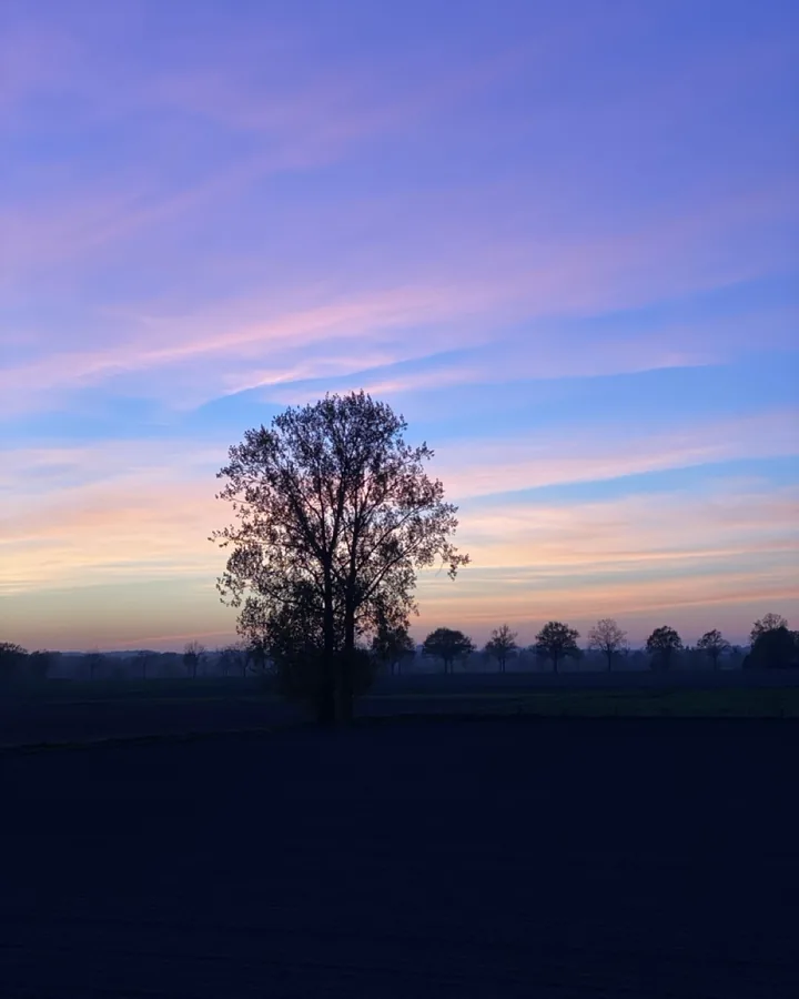 A real evening photo, untouched